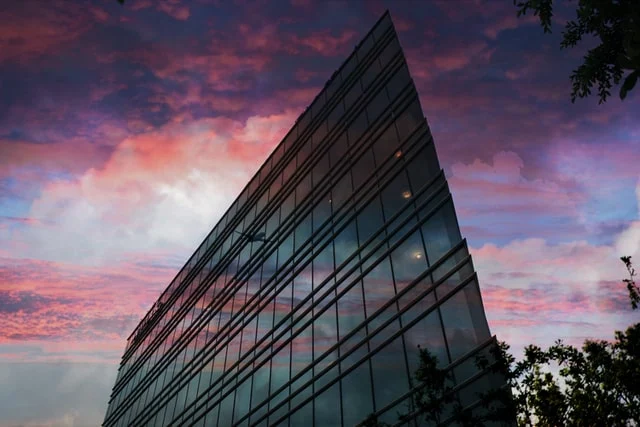 Người đàn ông đứng giữa thiên nhiên tươi đẹp.