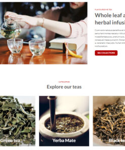 Mẫu thiết kế 1a với màu sắc tươi sáng.